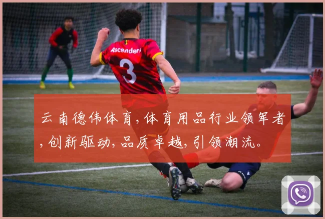 云南德伟体育,体育用品行业领军者,创新驱动,品质卓越,引领潮流。